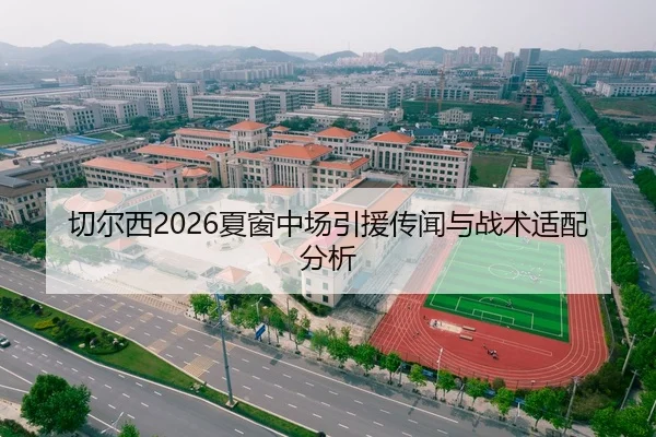 切尔西2026夏窗中场引援传闻与战术适配分析